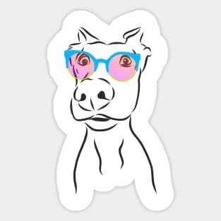 dog in beautiful fashionable glasses Sticker